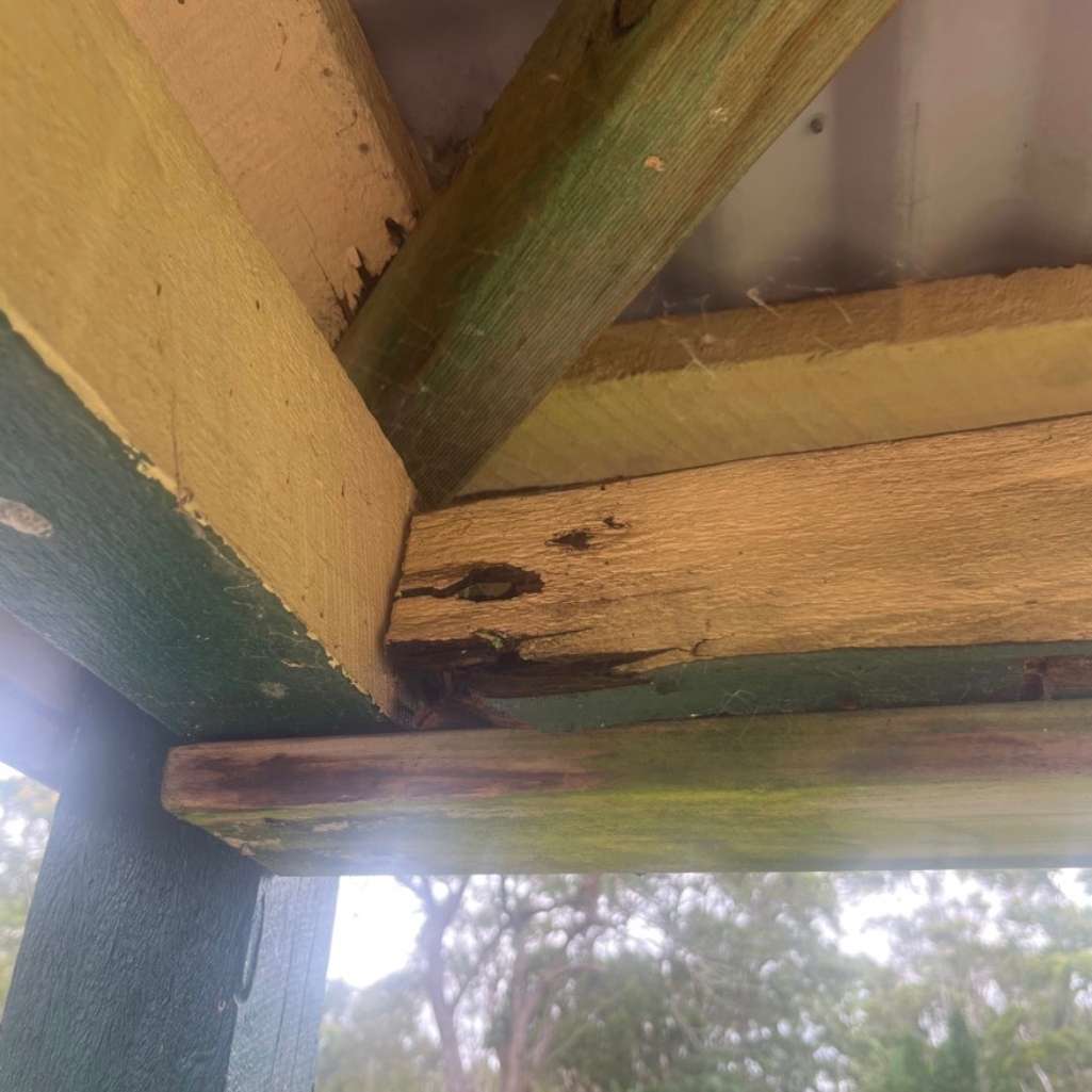 water damaged beams